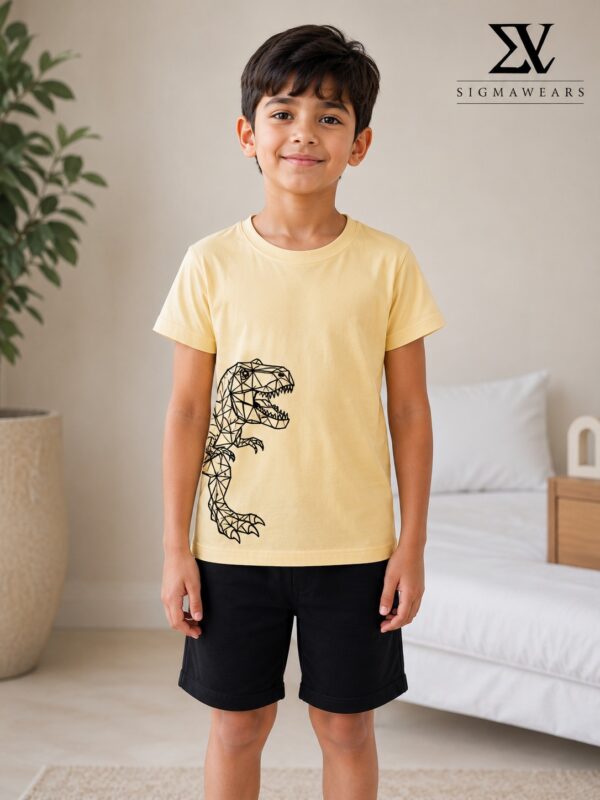 WhatsApp Image 2026-06-17 at 10.20.06 AM SHEIN Tween Boy Geometric Dinosaur Print